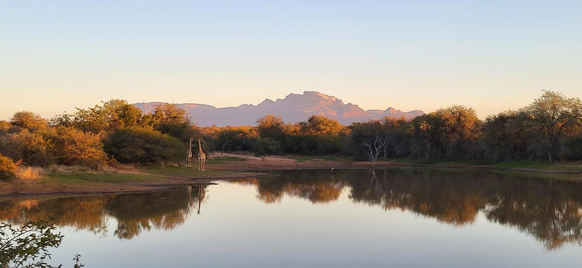 Villa Lanterfant - Luxury Stay In Nature - Solar Powered Hoedspruit Εξωτερικό φωτογραφία